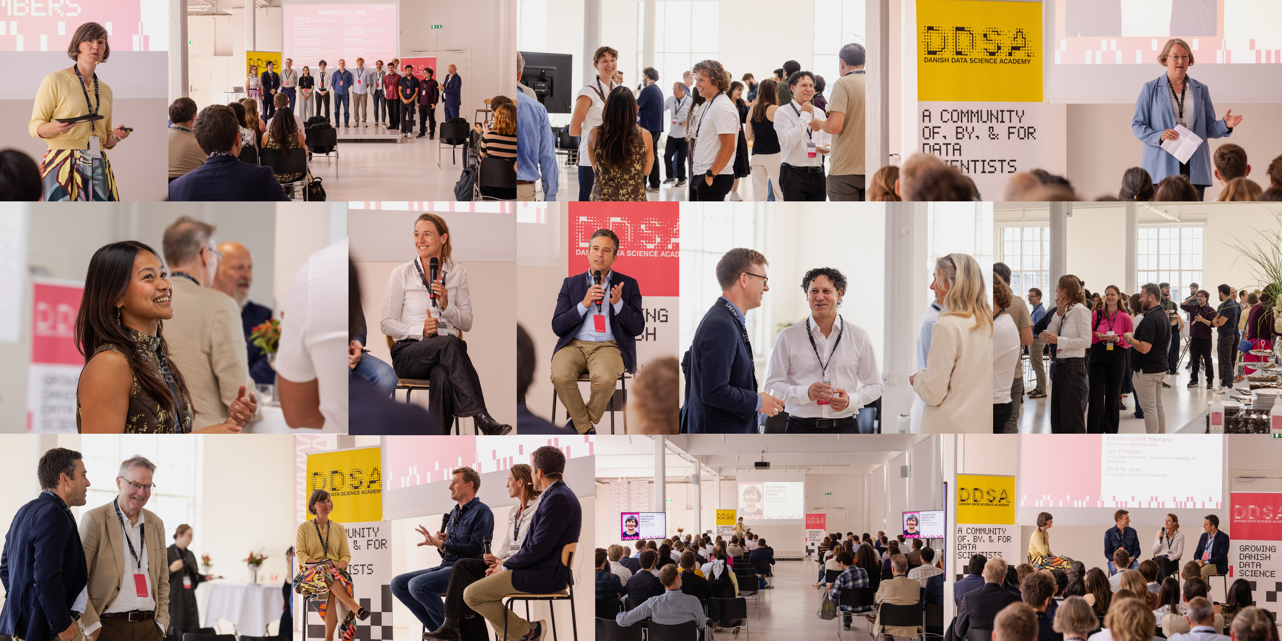Participants at DDSA Summer Celebration 2026 in Odense